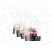 Папка-уголок EK54890 А4 4шт Feline Frends *50 Папка-уголок EK54890 А4 4шт Feline Frends *50
