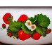 Миска 2,5л с рис. 01-0311/4 Земляника *14