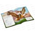 Книга 08354-2 Умка: Айболит. Стихи малышам. Чуковский К.И. *50 Книга 08354-2 Умка: Айболит. Стихи малышам. Чуковский К.И. *50
