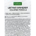 Карандаши 12 цветов Hatber zoo,084391 *12 Карандаши 12 цветов Hatber zoo,084391 *12