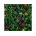 Изгородь &quotСамшит с цветами&quot искус 60*40см INBLOOM 172-032 г
