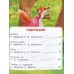 Книга 09234-6 Умка: Колобок и другие сказки. Пять сказок, 48стр. *30 Книга 09234-6 Умка: Колобок и другие сказки. Пять сказок, 48стр. *30