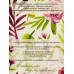 Карандаши 24цв Fine Line Maxi,  BFP-24FR  *6 Карандаши 24цв Fine Line Maxi,  BFP-24FR  *6