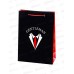 Пакет подарочный MI 22х31х10см Gentleman, ПКП-9156 *12