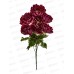 Букет 55см 7гол №107  81146 *20  Б