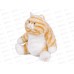 Кот Пухляш рыжий, 25см, MT-НН052412-25 Maxitoys