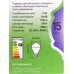 Лампа светодиодная ЭРА GREEN LINE LED 15Вт 6500К, A60-15W-865-E27 *10/100