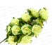 Букет роз 16голов 72см 8681 *1/10