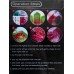 Алмазная мозаика Бабочка 30*30 арт.YZDD25662 *1
