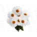 Букет 55см 9гол №336  81298 *40  Б