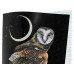 Тетрадь 48л кл. ПЛН Lunar dark Animals, скрепка 3312 *40 Тетрадь 48л кл. ПЛН Lunar dark Animals, скрепка 3312 *40
