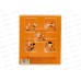 Тетрадь 48л кл. ПП Капибара Краш, 48-3787 *10/100 Тетрадь 48л кл. ПП Капибара Краш, 48-3787 *10/100