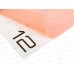 Тетрадь 12л кл. BG UniTone Neon ,пластик. обл. оранжевый 08895 *10/150