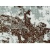 Комплект постельного белья 2,0 спальный полисатин с европростыней 1054-2 Комплект постельного белья 2,0 спальный полисатин с европростыней 1054-2