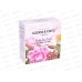 Elegans and Fortis П/Н Rosehip Anise Powder(гель душ300+спр д/тел150) *12
