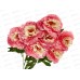 Букет 60см 7гол №430 микс 82009  *10/300   Б