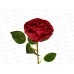 Цветы искусственные 50см Роза Вивальди, d-7см красный 10104936