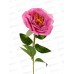 Цветы искусственные 55см Роза Претти, d-10см розовый 10104966