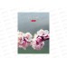 Записн.книжка Hatber А6 32л Живые моменты, 10диз. 091594 *144