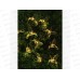 Гирлянда садовая солнечная батарея Колибри, 20LED 7м шампань INBLOOM 351-614  г