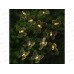 Гирлянда садовая солнечная батарея Бабочки, 25LED 7м шампань INBLOOM 381-436  г