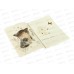 Тетрадь 40л кл. B.V. Love me Милый котенок 7-40-001/192*4/64