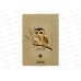 Тетрадь 40л кл. B.V. Love me Милый совенок 7-40-001/207*4/64 Тетрадь 40л кл. B.V. Love me Милый совенок 7-40-001/207*4/64