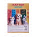 Цветной карт.MAZARI 10л. 10цв,(зол+сереб.) 200*280мм М-17429 *50 Цветной карт.MAZARI 10л. 10цв,(зол+сереб.) 200*280мм М-17429 *50