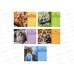 Альбом д/рис.16л Hatber МяУсы. на скобе 5диз. 094473 *5/50 Альбом д/рис.16л Hatber МяУсы. на скобе 5диз. 094473 *5/50
