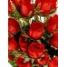 Букет 82см 20голов №961 микс 82361 *10  Б