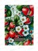 Весы кухонные Maxtronic MAX-1031-2 электронные *24
