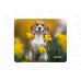 Коврик для мыши Perfeo &quotDog&quot, (240*200*2мм), ткань+резина, ассорти