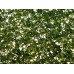 Коврик травка искуственная 40*60см К-1 82045 *20  Б